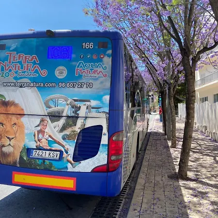 شقة San Carlos Ii