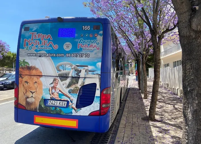 דירה San Carlos Ii